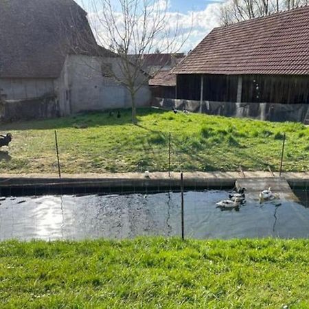 Maison Au Sein D'Une Ferme Villa Rahling Exterior foto