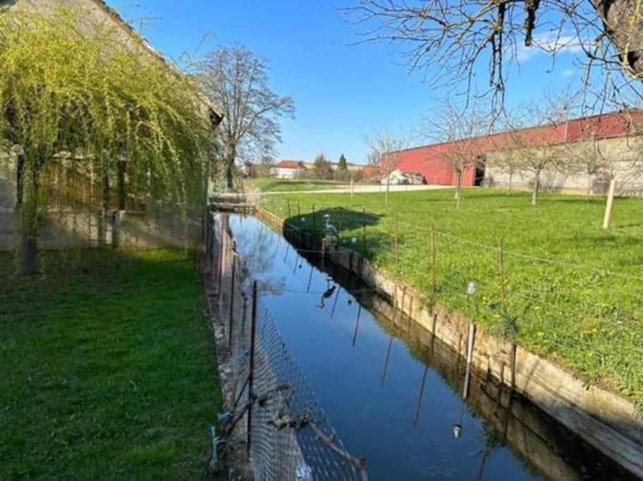 Maison Au Sein D'Une Ferme Villa Rahling Exterior foto